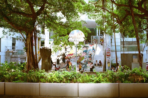 20260425_hkfilm, netpost