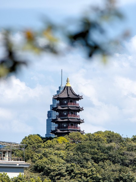 20250823_shaoxing, netpost