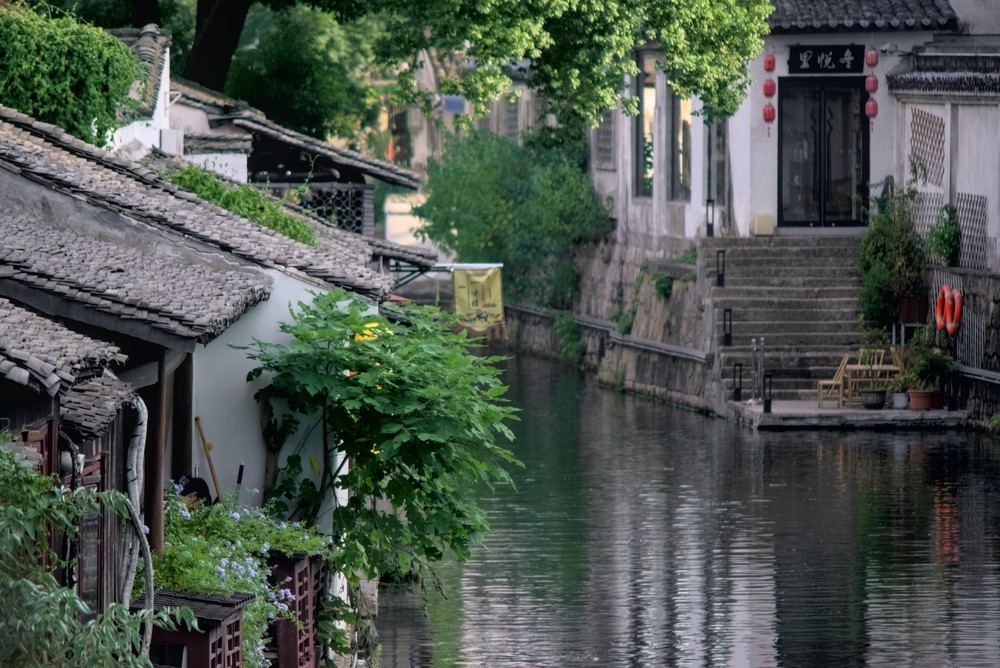 20250823_shaoxing, netpost