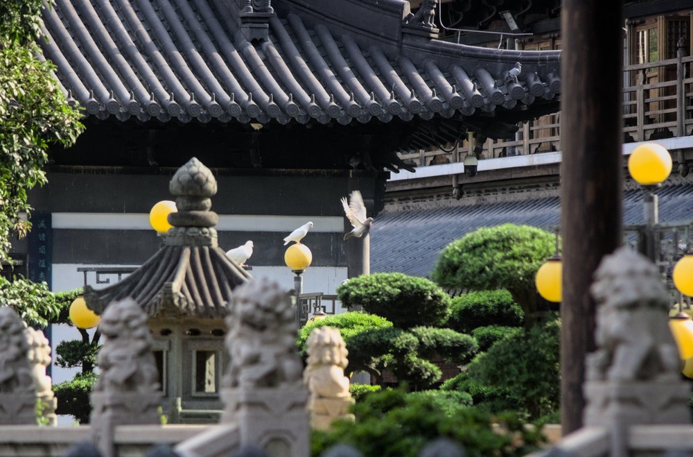 20250825_shanghai, netpost