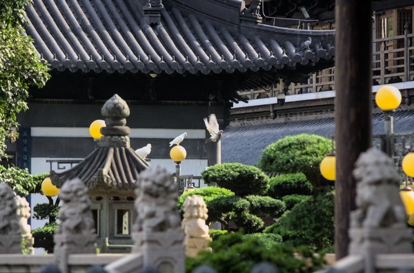 20250825_shanghai, netpost