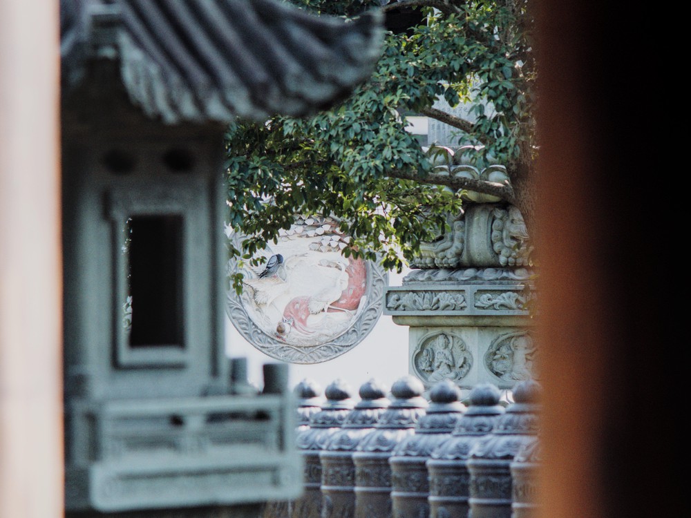 20250825_shanghai, netpost