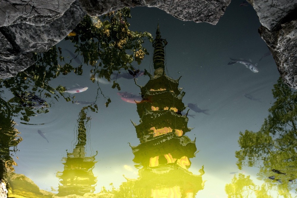 20250827_suzhou, netpost