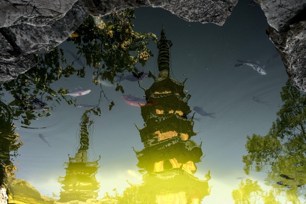 20250827_suzhou, netpost