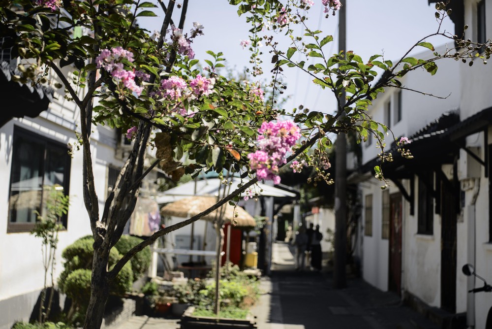 20250827_suzhou, netpost