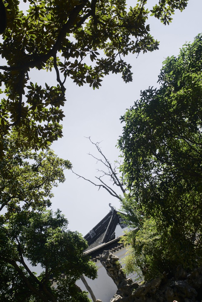 20250827_suzhou, netpost