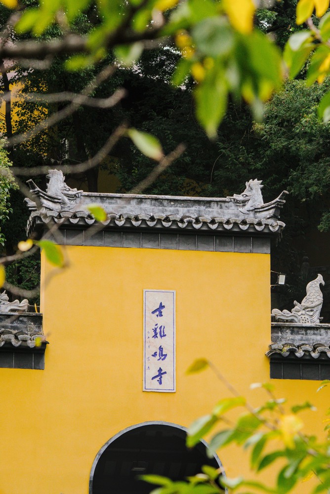 20250830_nanjing, netpost