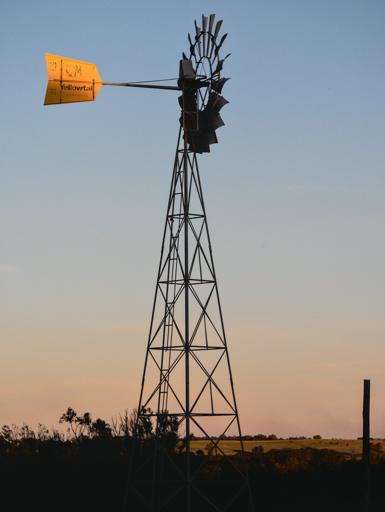 20250927_sydney, netpost