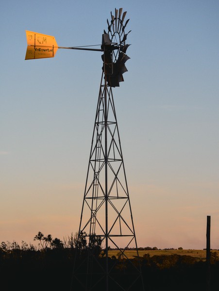 20250927_sydney, netpost