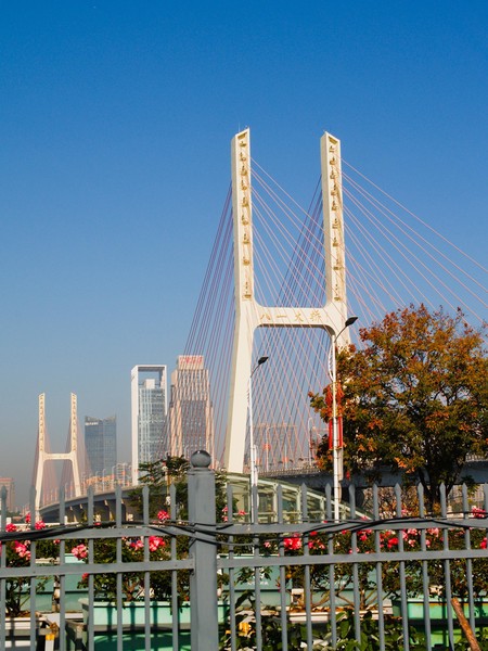 20251129_ncjdz, nanchang, netpost, place