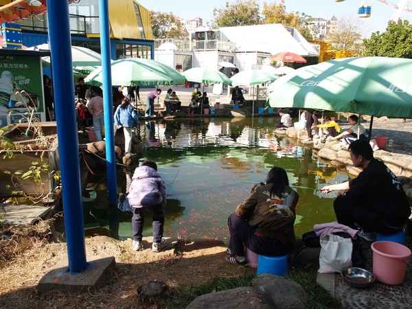 20251129_ncjdz, netpost