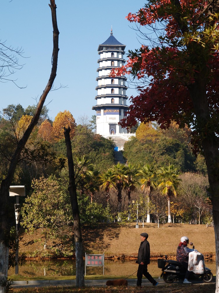 20251129_ncjdz, netpost