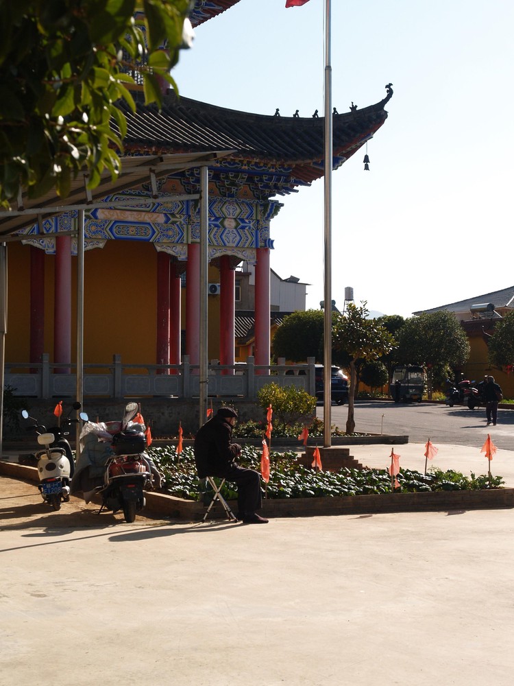 20251129_ncjdz, netpost