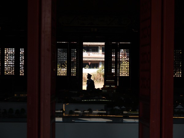 20251129_ncjdz, netpost