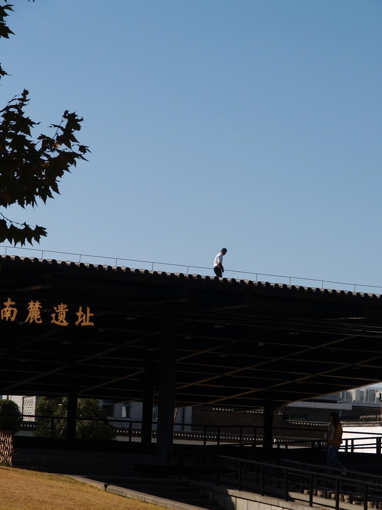 20251129_ncjdz, netpost