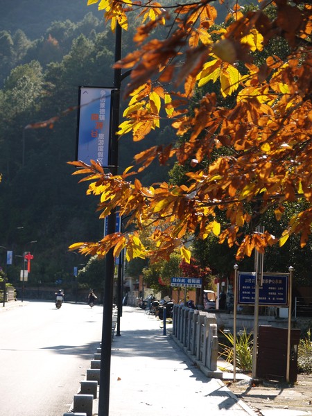 20251129_ncjdz, netpost