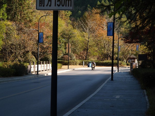 20251129_ncjdz, netpost