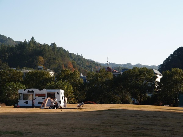 20251129_ncjdz, netpost