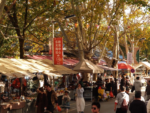 20251129_ncjdz, netpost