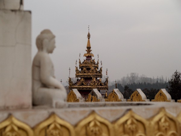 20251223_luoyang, netpost