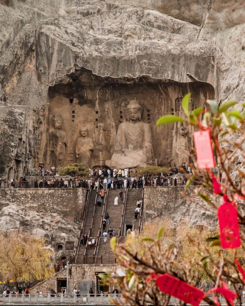 20251223_luoyang, netpost