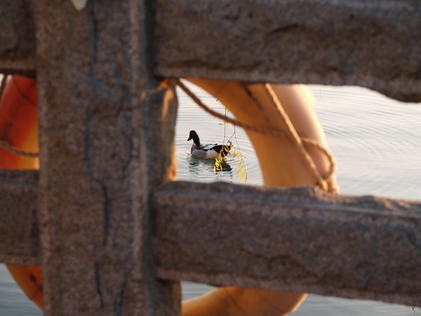 20251225_jinan, netpost