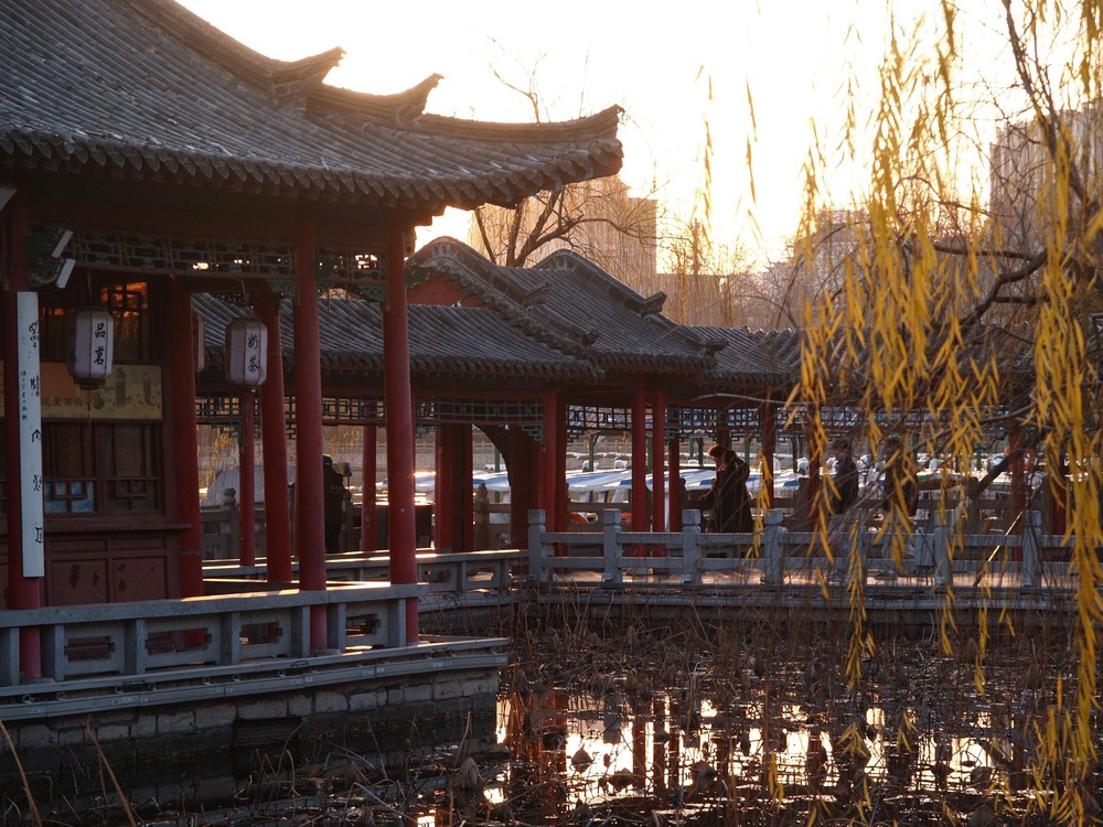 20251225_jinan, netpost