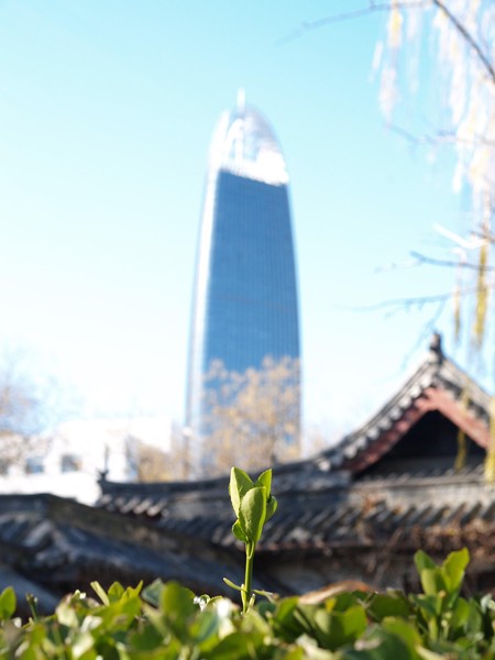 20251225_jinan, netpost