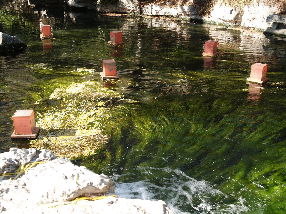 20251225_jinan, netpost