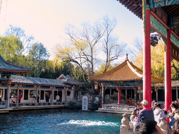 20251225_jinan, netpost