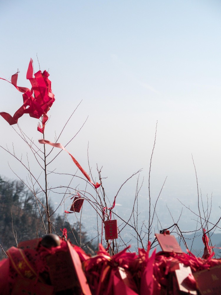 20251226_taian, netpost