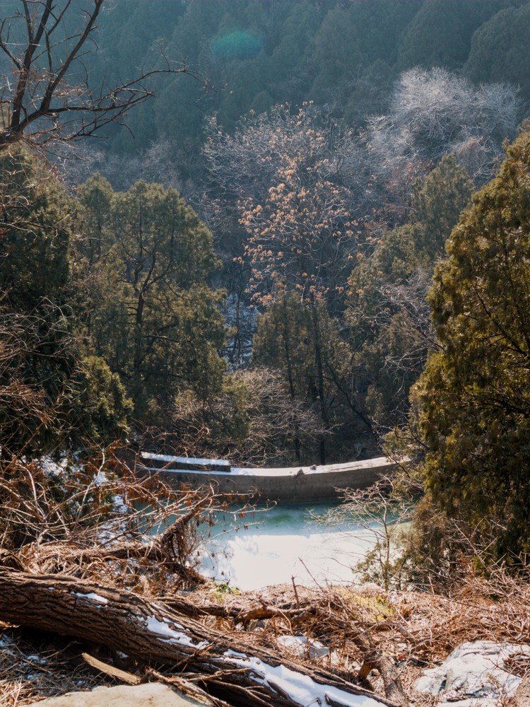 20251226_taian, netpost