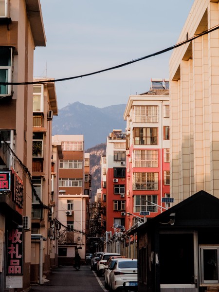 20251226_taian, netpost