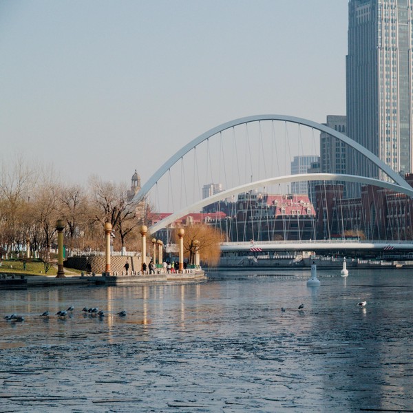 20251227_tianjin, netpost