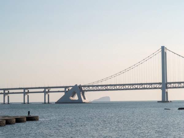 20251230_dalian, netpost