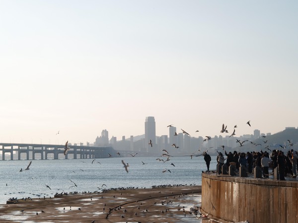 20251230_dalian, netpost