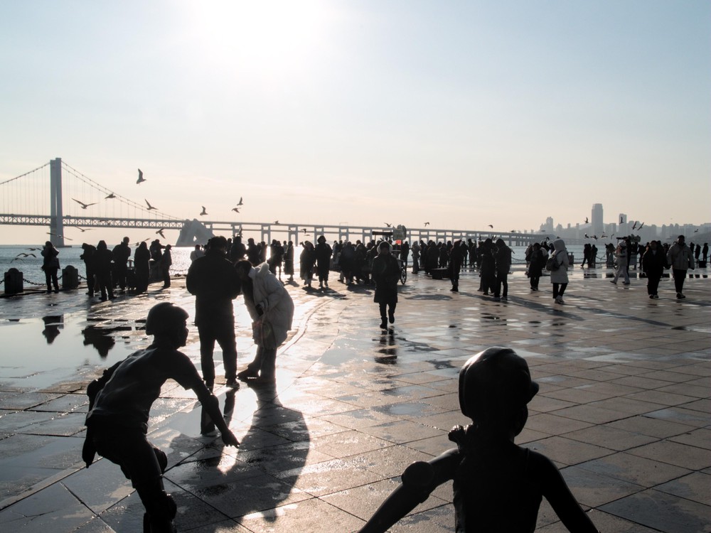 20251230_dalian, netpost