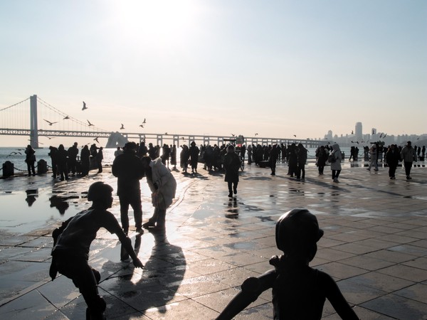 20251230_dalian, netpost