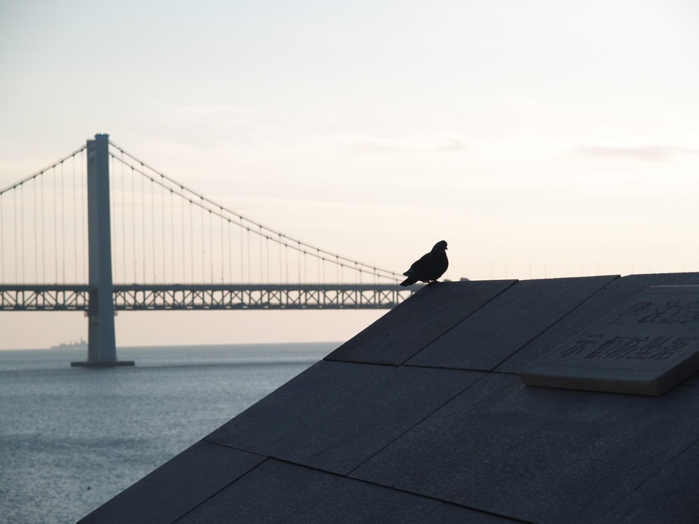 20251230_dalian, netpost