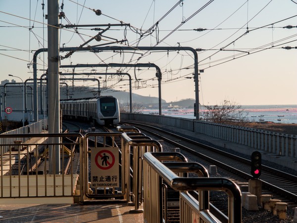 20251230_dalian, netpost