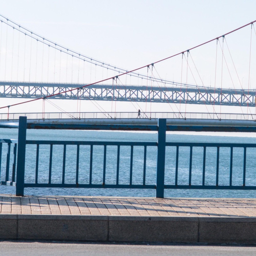 20251230_dalian, netpost