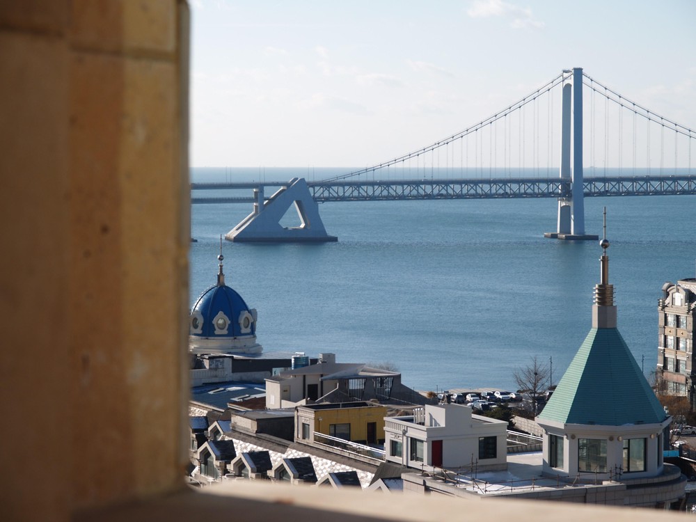 20251230_dalian, netpost