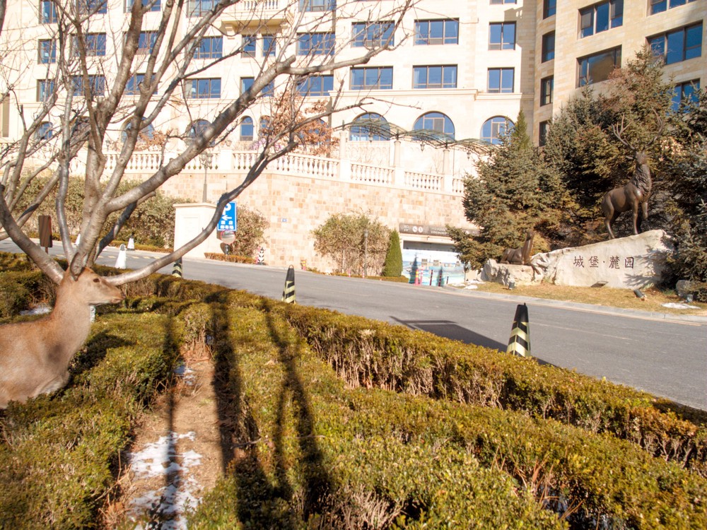 20251230_dalian, netpost