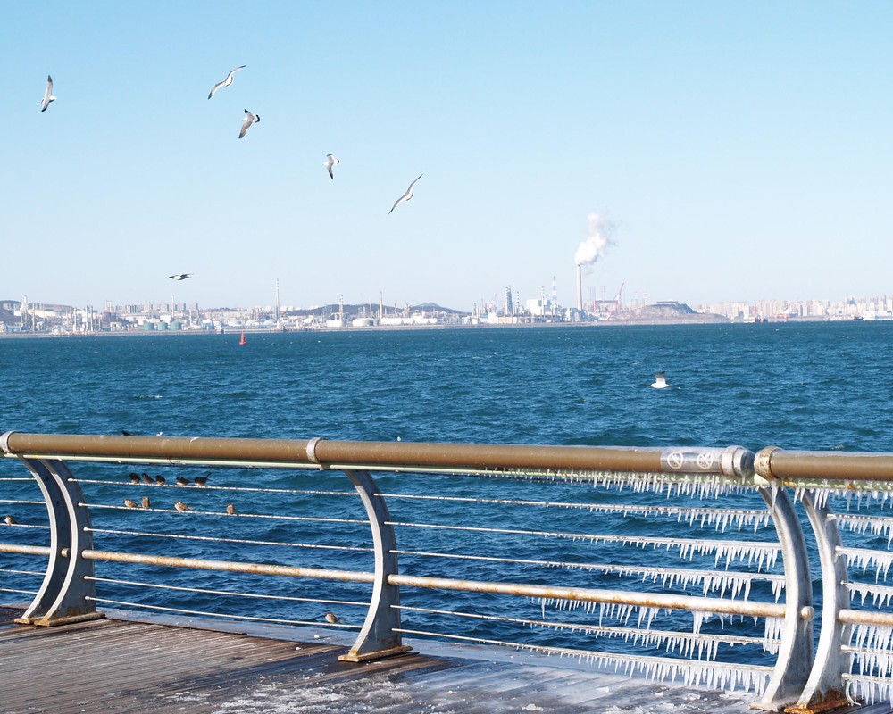 20251230_dalian, netpost