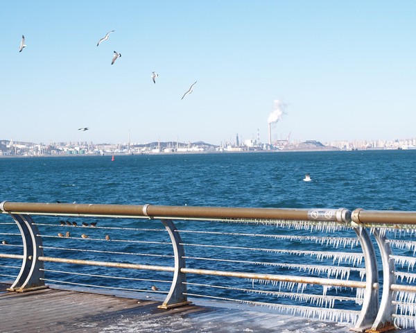 20251230_dalian, netpost