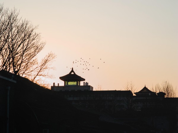 20260216_beijing, netpost