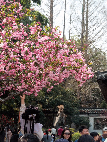 20260328_yangzhou, netpost