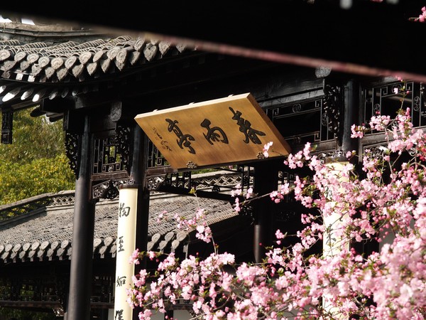 20260328_yangzhou, netpost