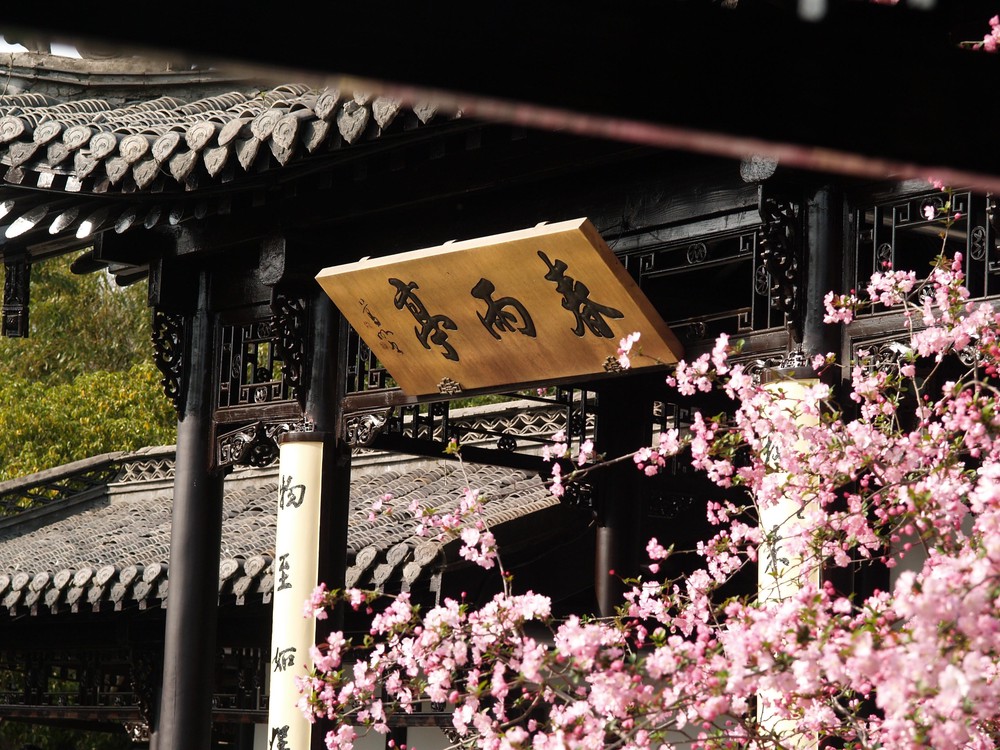 20260328_yangzhou, netpost