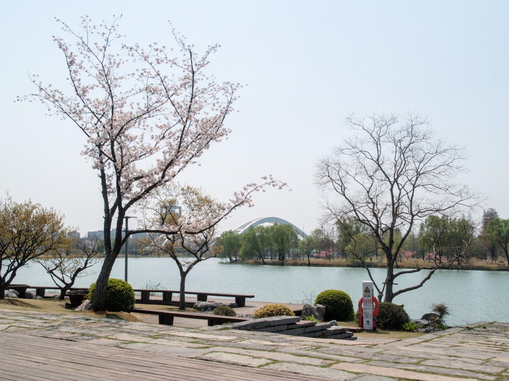 20260328_yangzhou, netpost